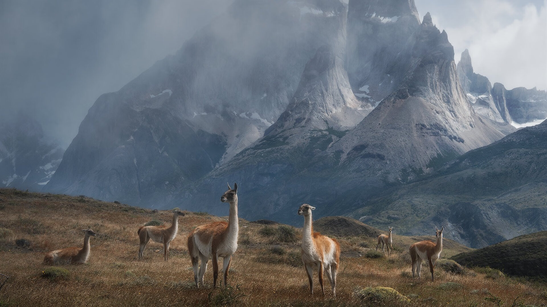 DOTA2新版本解读:英雄改动与战术演变,赛事格局将如何变化?,dota2 最新改动